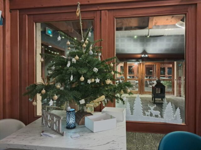 WhatsApp Image 2025-12-11 at 22.42.513